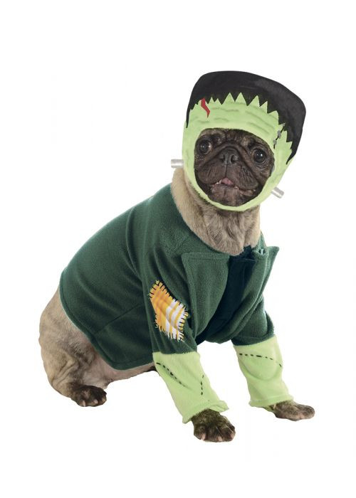 Disfraz de Frankenstein Mascota - DISFRACES PARA PERROS