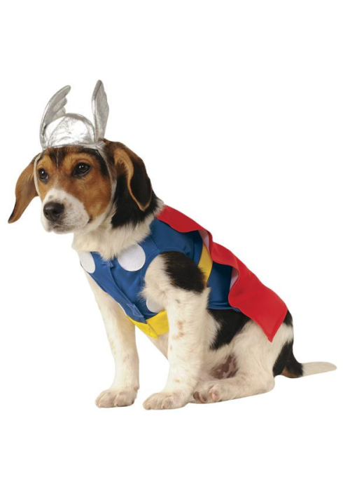 Disfraz de Thor Mascota - DISFRACES PARA PERROS