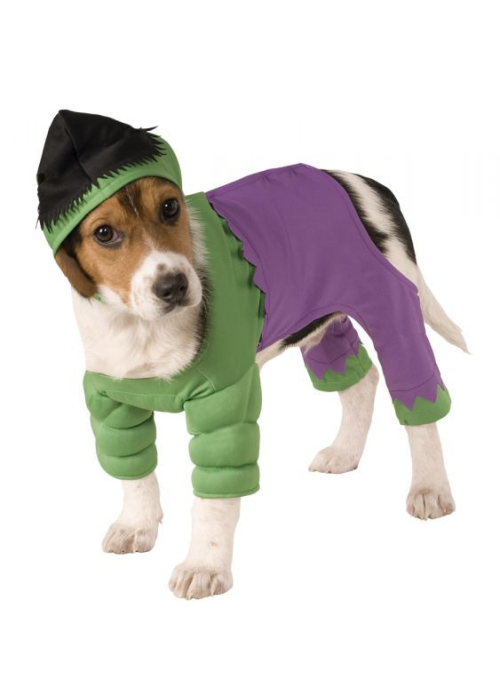 Disfraz de Hulk Mascota - DISFRACES PARA PERROS