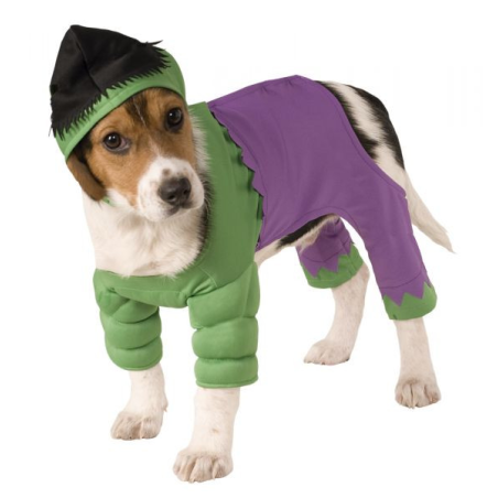 Disfraz de Hulk Mascota