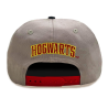 Gorra Gryffindor College Visera Plana