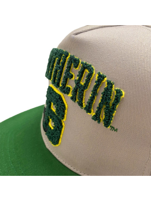 Gorra Gryffindor College Visera Plana