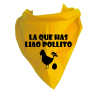 Pañuelo para despedidas La Que Has Liao Pollito - Pañuelos y Corbatas para Despedidas
