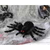 Araña Tarantula 20cm