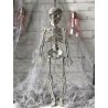 Esqueleto 30 cms