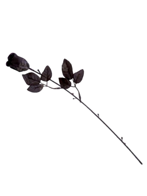 Rosa Negra - Otros