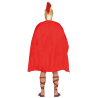 Centurion Romano Gallic
