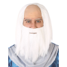 Peluca y Barba Blanca Druida