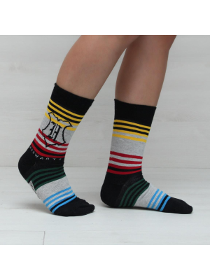 Calcetines Harry Potter