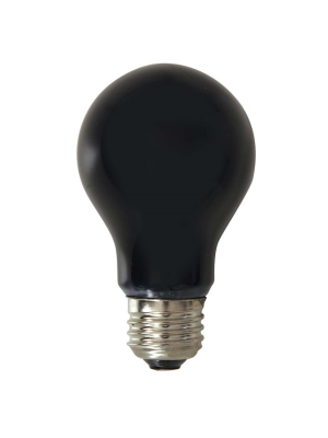 Bombilla Luz Negra