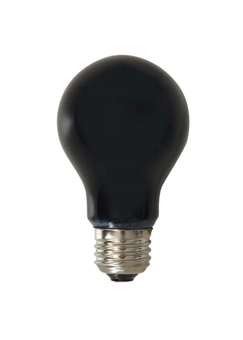 Bombilla Luz Negra