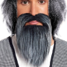 Barba Gris