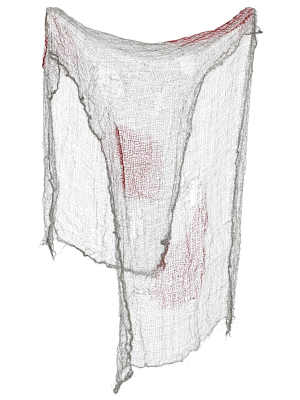 Cortina Gris con Mancha de Sangre