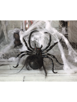 Telaraña con Araña de 17x3cm