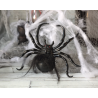 Telaraña con Araña de 17x3cm