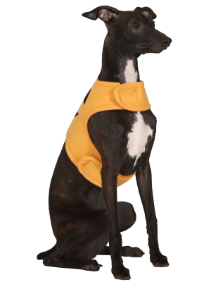 Disfraz de Calabaza para Perros