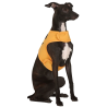 Disfraz de Calabaza para Perros