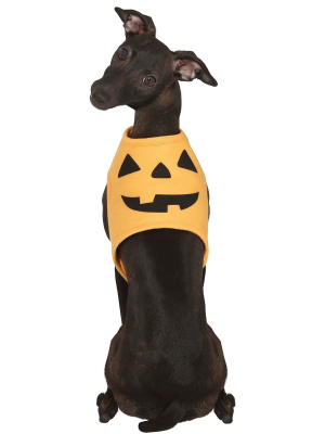 Disfraz de Calabaza para Perros