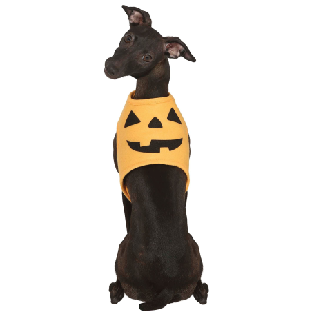 Disfraz de Calabaza para Perros