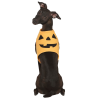 Disfraz de Calabaza para Perros