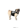 Disfraz de Esqueleto para Perros