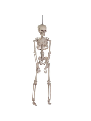 Esqueleto 43 cms