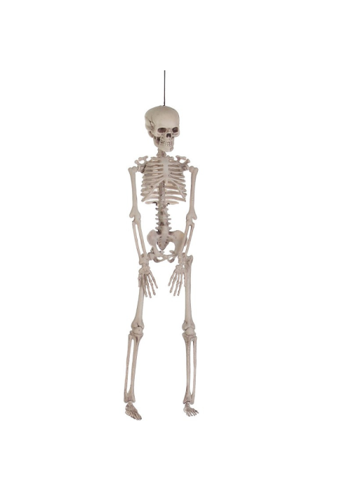 Esquelet de 40 cms