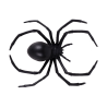 Araña