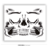 Tatuaje Cara Esqueleto