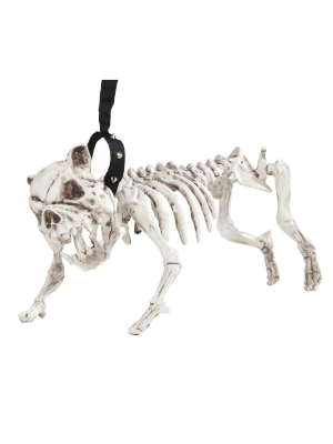 Esqueleto de Perro con Correa - Animales y Bichos