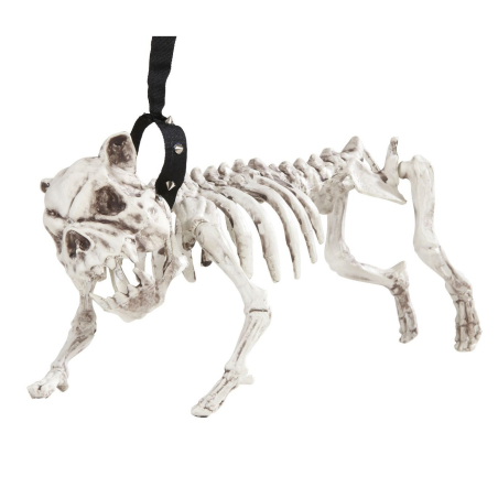 Esqueleto de Perro con Correa - Animales y Bichos