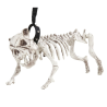 Esqueleto de Perro con Correa - Animales y Bichos