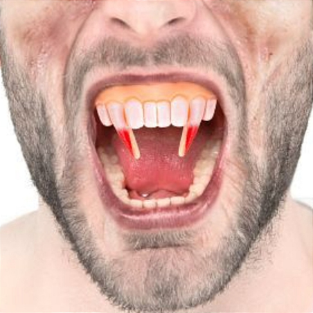 Dentadura Colmillos Ensangrentados