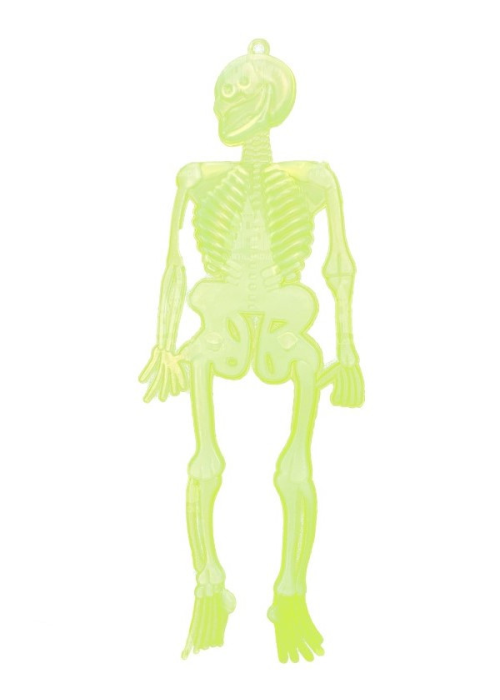 Mini Eskeletoak Fluoreszenteak
