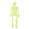 Mini Esquelets Fluorescents