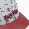Gorra Visera Harry Potter Curva