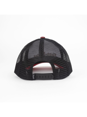 Gorra Visera Harry Potter Curva