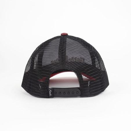 Gorra Visera Harry Potter Curva