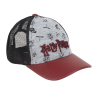 Gorra Visera Harry Potter Curva