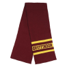 Set de Guantes + Gorro + Bufanda para niño Gryffindor Harry Potter