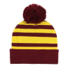 Set de Guantes + Gorro + Bufanda para niño Gryffindor Harry Potter