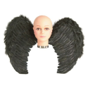 Comprar Alas de Plumas Negras - Alas