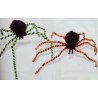 Araña Rayas - Animales y Bichos