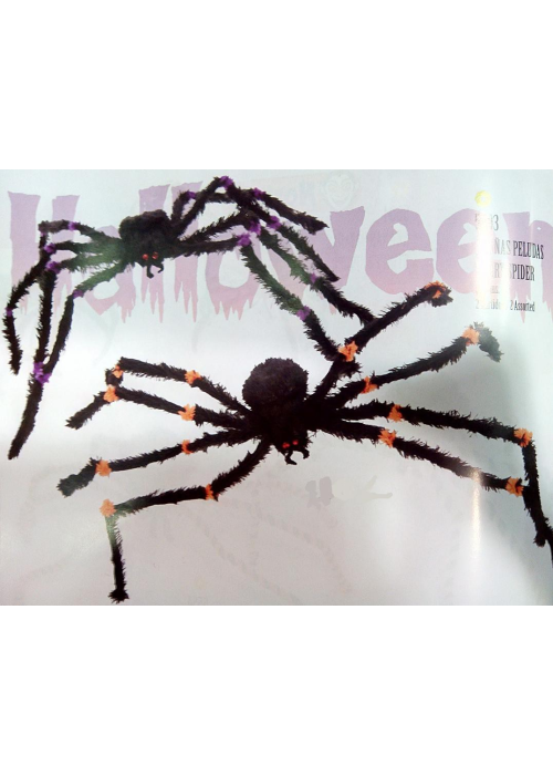 Araña Gigante - Animales y Bichos