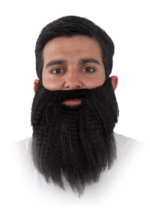 Barba Hipster