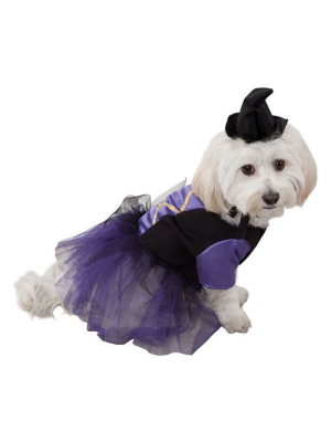 Disfraz de Bruja para Perro