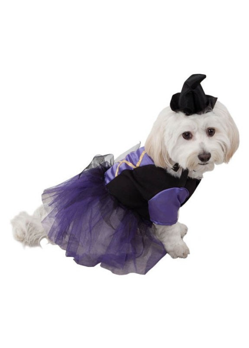 Disfraz de Bruja para Perro