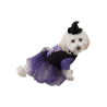 Disfraz de Bruja para Perro