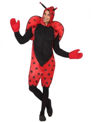 Disfraz de Mariquita Hombre