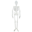 Comprar Esqueleto Silueta Fosforescente 90 cm - Calaveras y Esqueletos